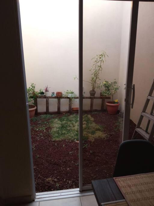 La Casa Del Pinito Lägenhet Sonsonate Exteriör bild